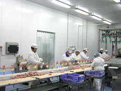 poultry processing