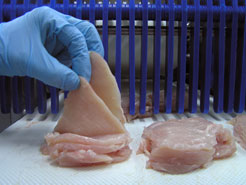 filleted chicken breast